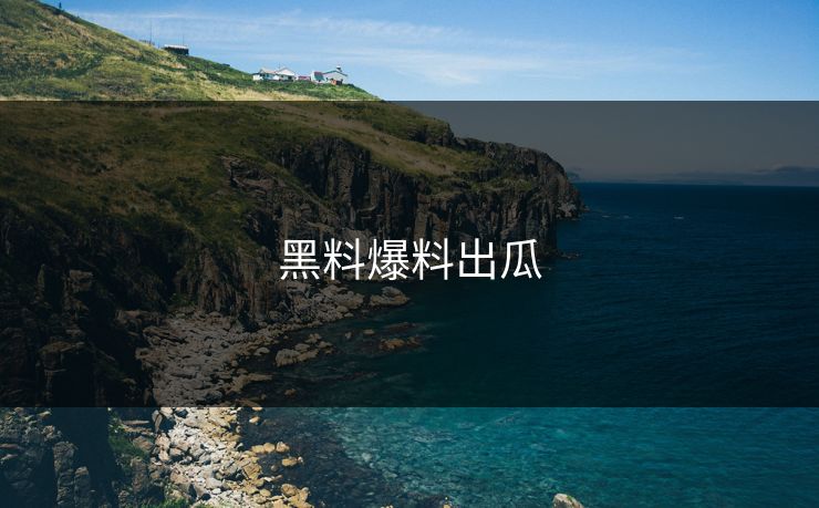 黑料爆料出瓜