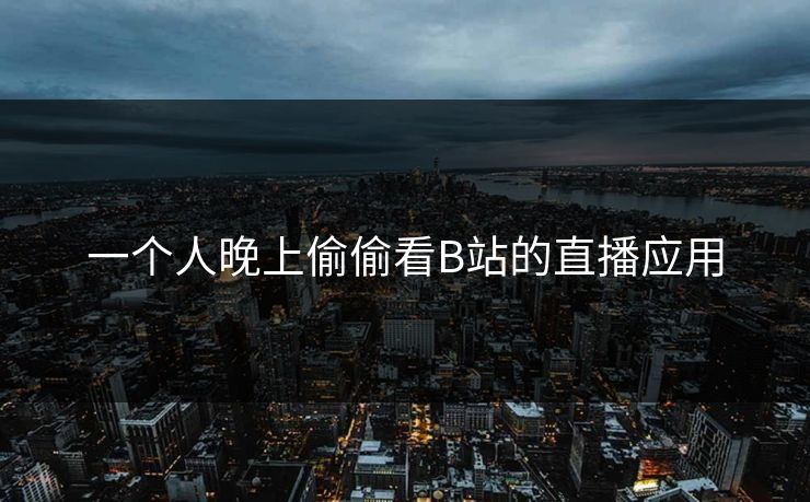 一个人晚上偷偷看B站的直播应用 一个人晚上偷偷看B站的直播应用
