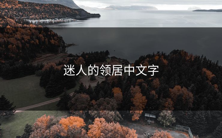迷人的领居中文字 迷人的领居中文字