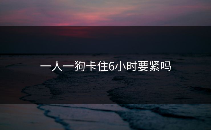 一人一狗卡住6小时要紧吗 一人一狗卡住6小时要紧吗