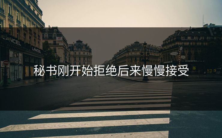 秘书刚开始拒绝后来慢慢接受 秘书刚开始拒绝后来慢慢接受