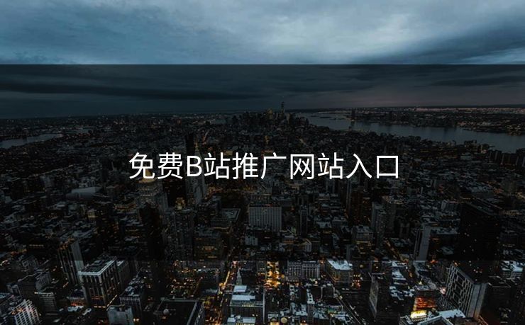 免费B站推广网站入口