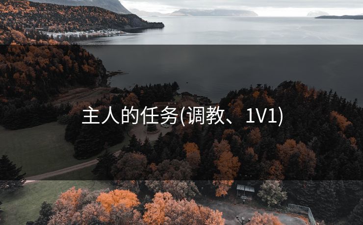 主人的任务(调教、1V1)