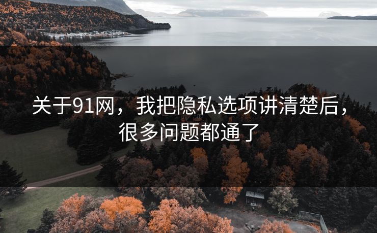 关于91网,我把隐私选项讲清楚后,很多问题都通了 关于91网,我把隐私选项讲清楚后,很多问题都通了